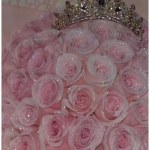 Shine-165550335 Liveme profile