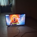 msshay688 Liveme profile