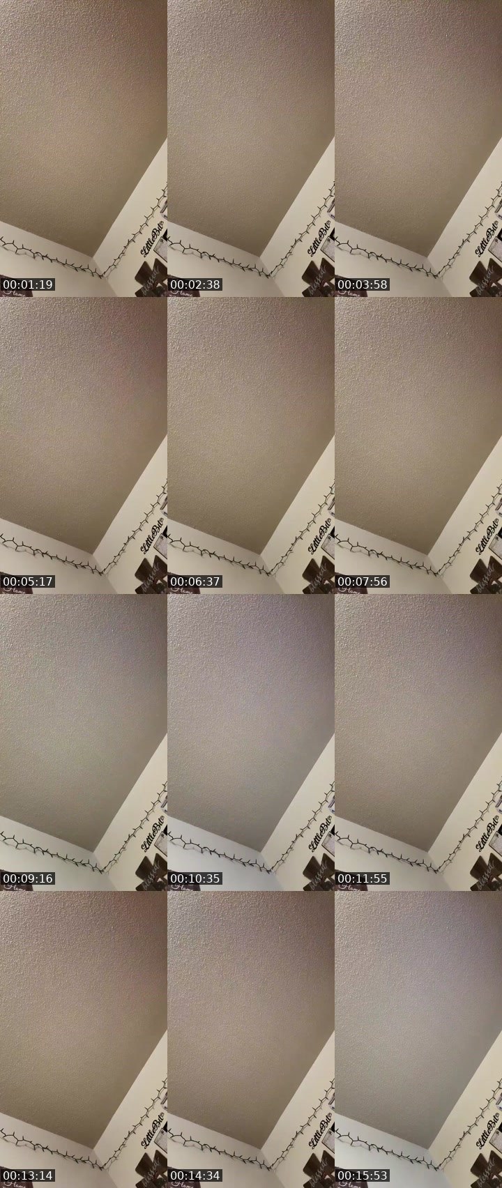Contact-sheet preview of Unique_NBeautiful2's Liveme recording
