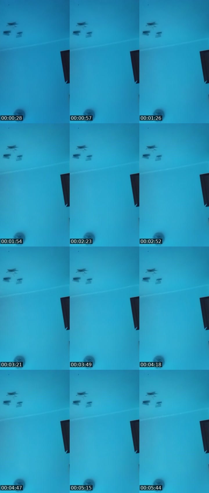 Contact-sheet preview of GMF💯CrAzyLeD🌪's Liveme recording