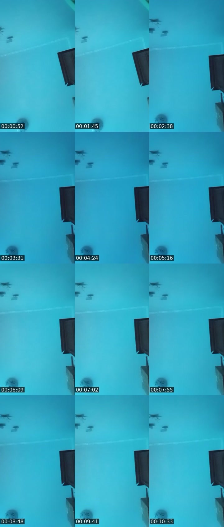 Contact-sheet preview of GMF💯CrAzyLeD🌪's Liveme recording