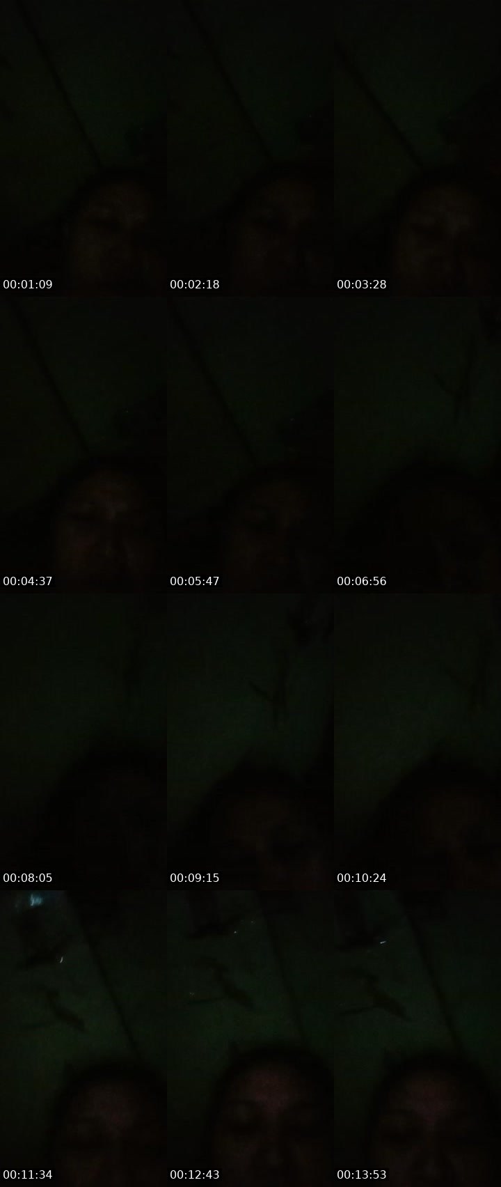 Contact-sheet preview of 👑Jherelyn🦢(NP)'s Liveme recording