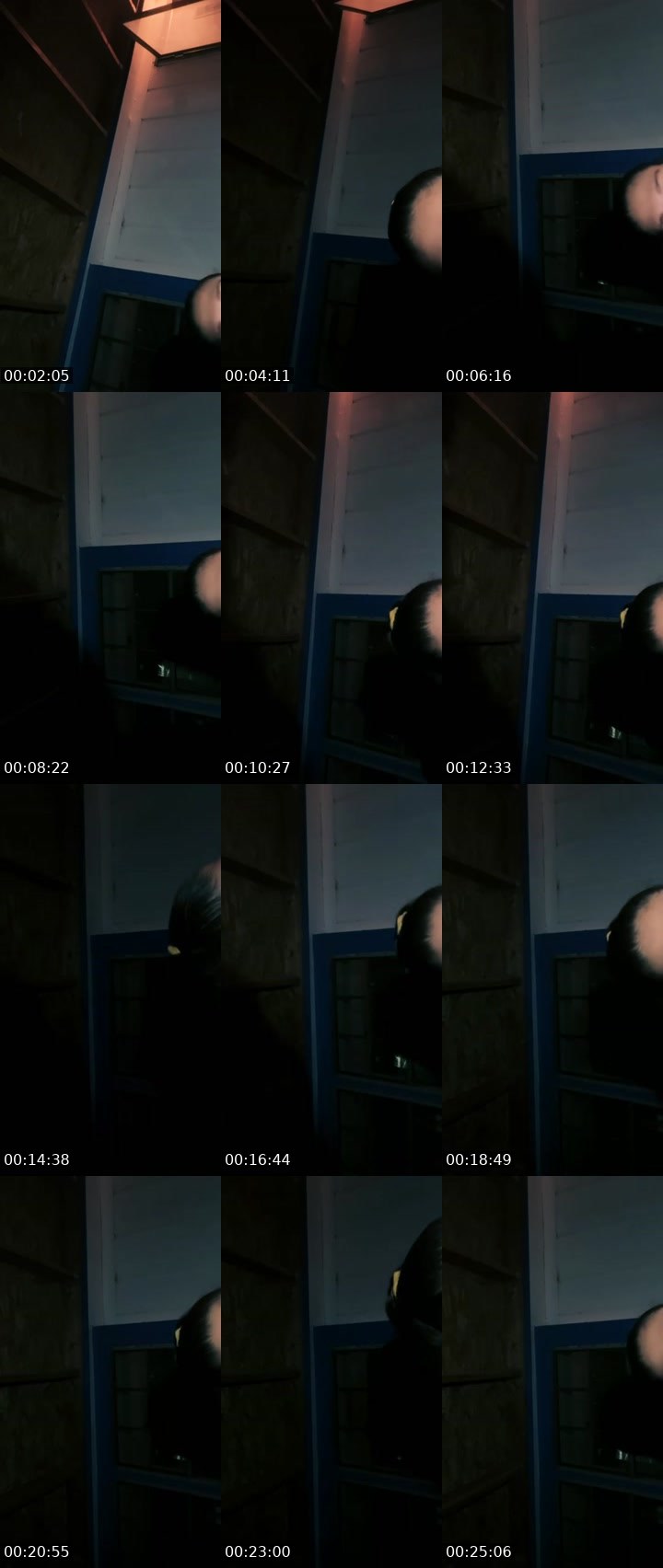Contact-sheet preview of Boo 😏's Liveme recording