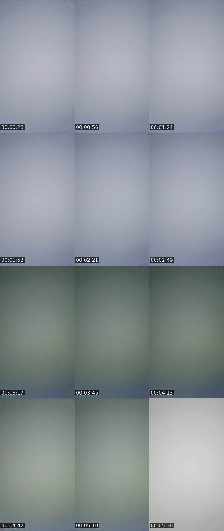 Contact-sheet preview of ∆รʜ's Liveme recording