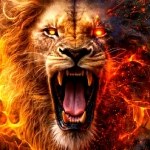 Cover for 🦁