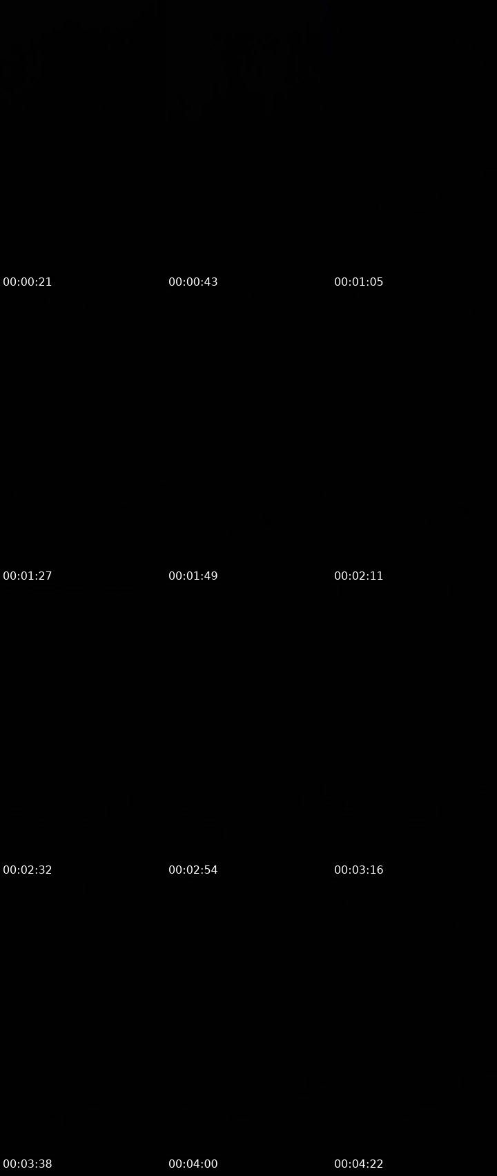 Contact-sheet preview of InsomniA.❤️‍🔥✨'s Liveme recording