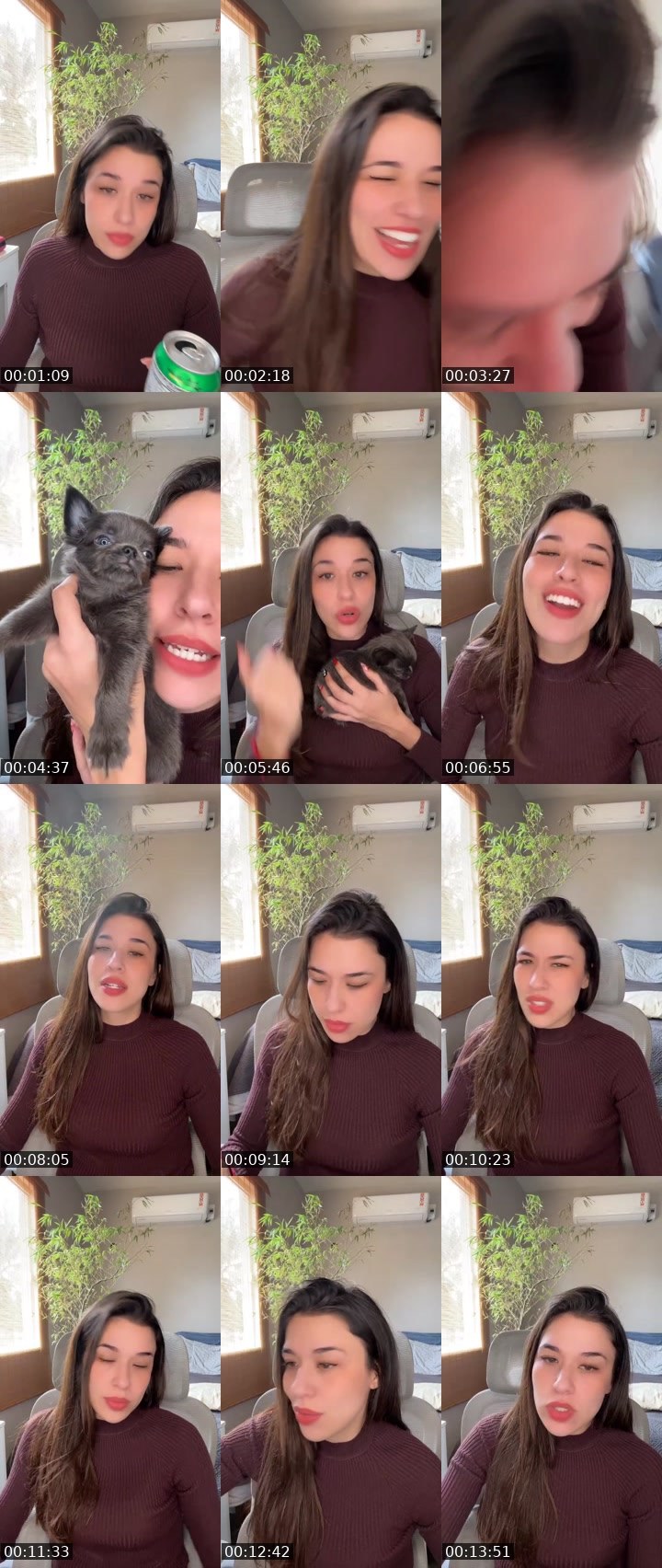 Cover for Clique e divirta-se!