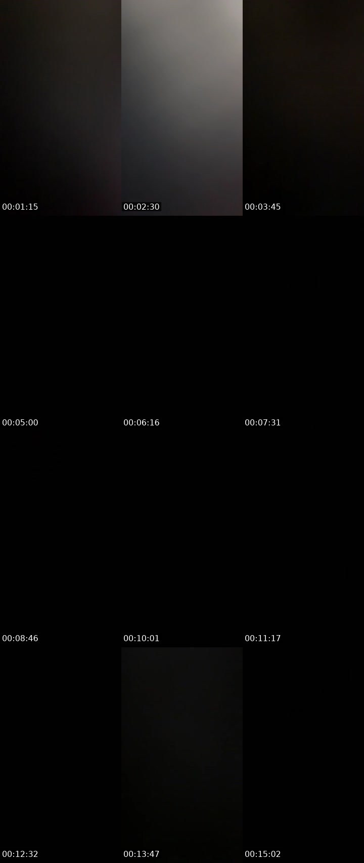 Contact-sheet preview of Precious-270332834's Liveme recording