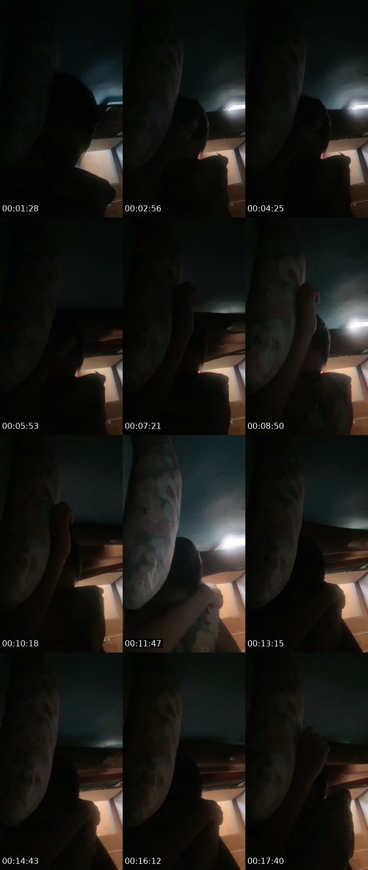 Contact-sheet preview of ♛ ₚₕ Lyn 🍭's Liveme recording