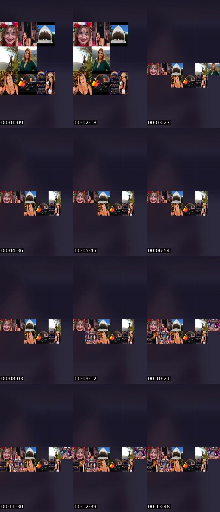 Contact-sheet preview of ➤Lihadima🌈🦁's Liveme recording