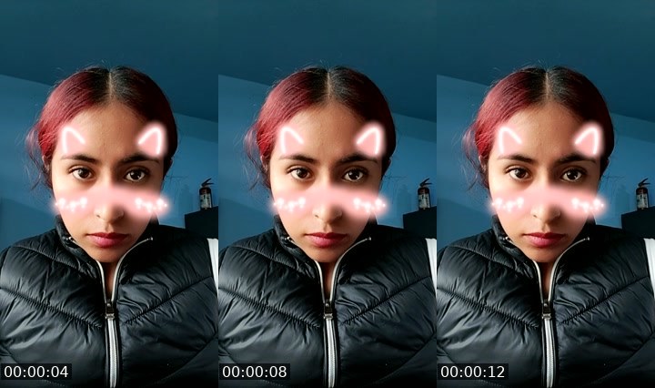 Contact-sheet preview of Rous1166's Liveme recording