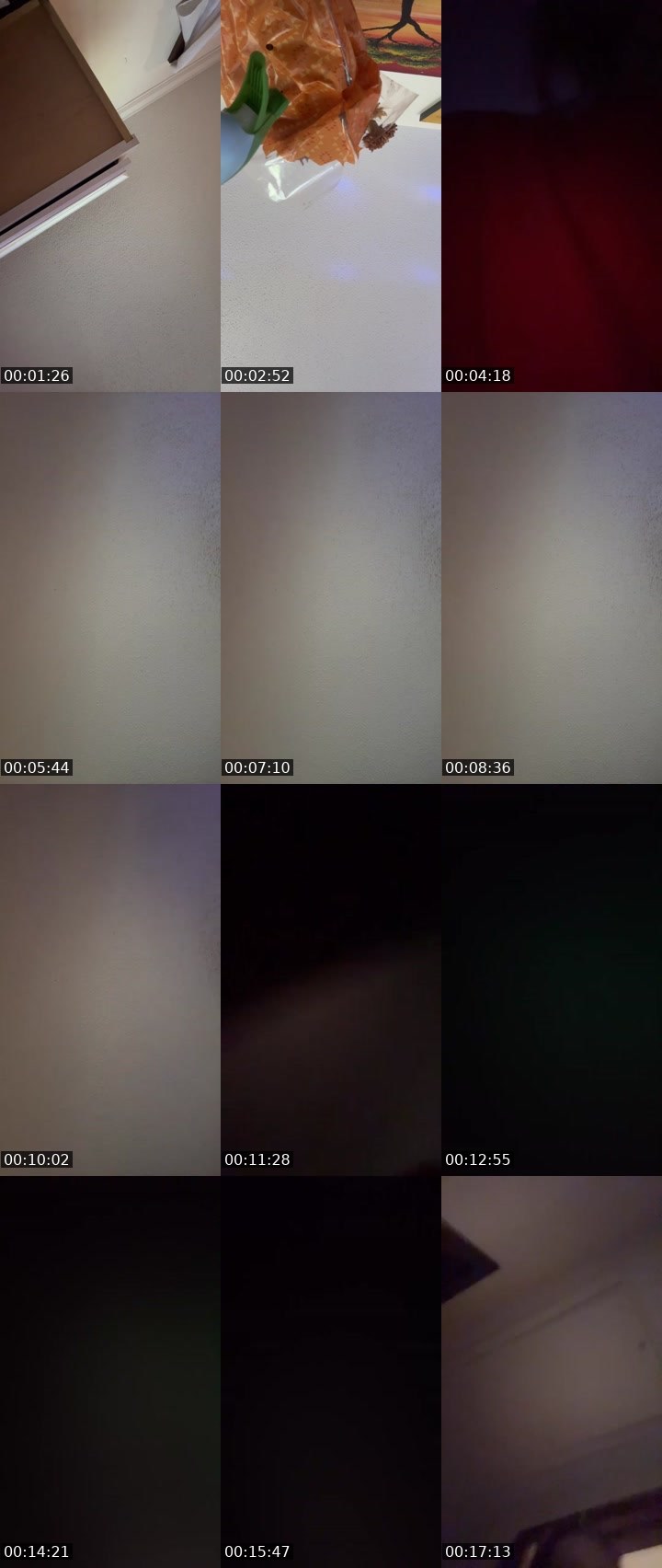 Contact-sheet preview of Willowsmama's Liveme recording