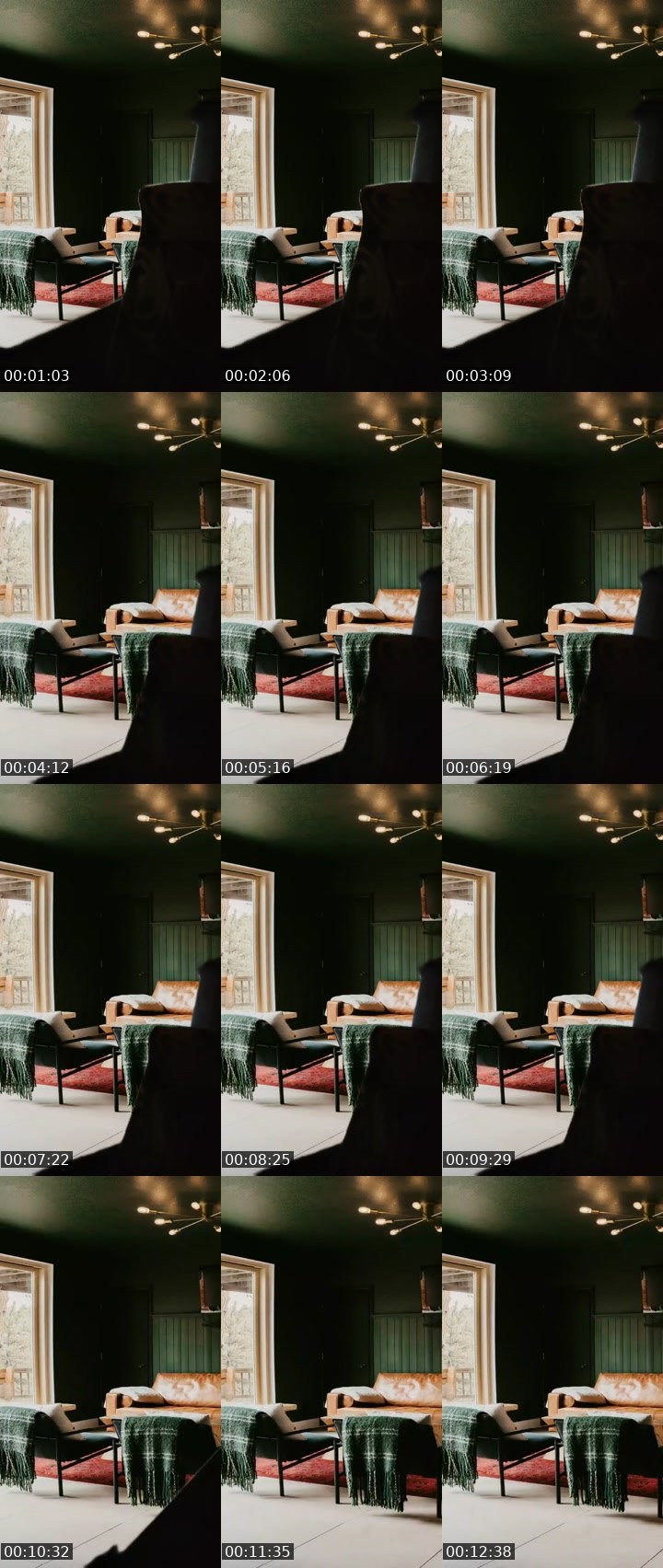 Contact-sheet preview of silent que-113658015's Liveme recording
