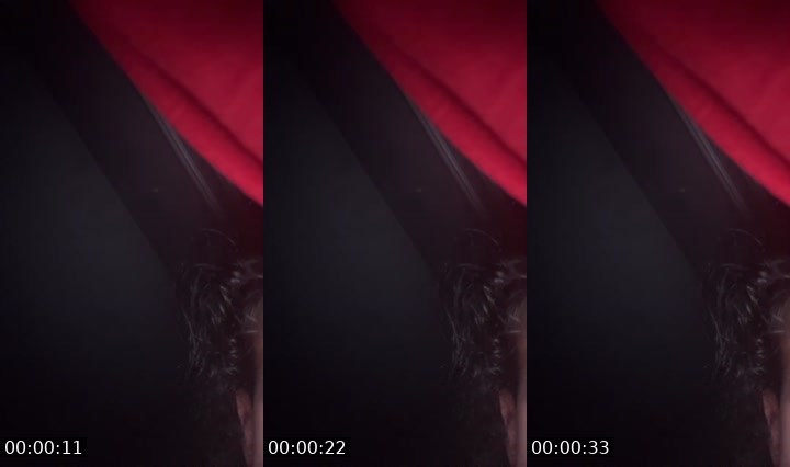 Contact-sheet preview of Yolandamillan's Liveme recording