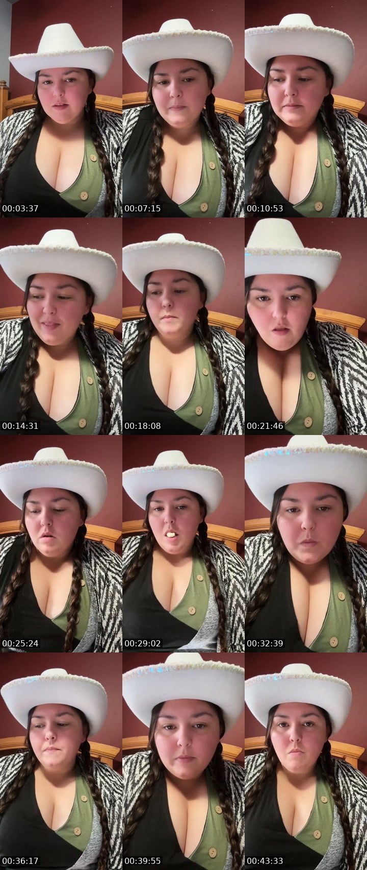 Contact-sheet preview of Fairy360's Liveme recording