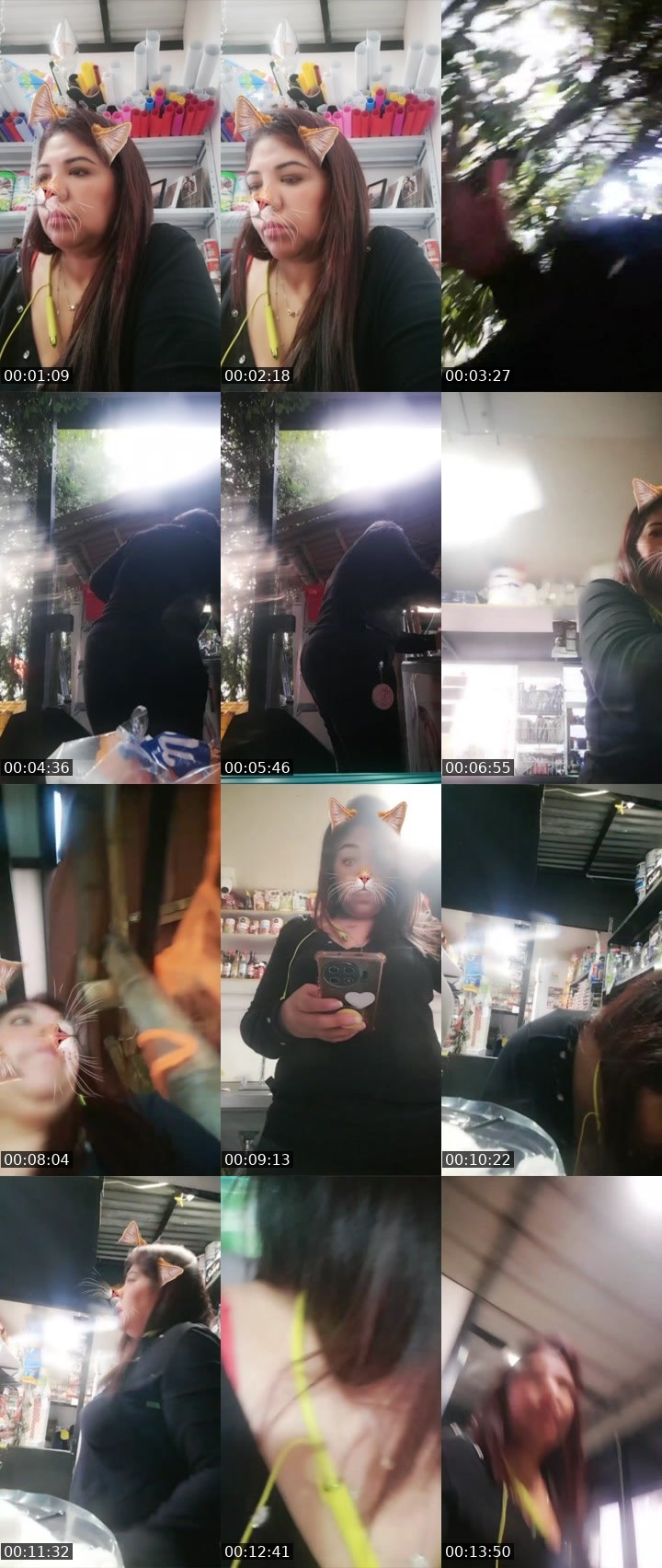 Contact-sheet preview of 🛡️🌈 🔆🇸🇻ĘvaLun🌙's Liveme recording