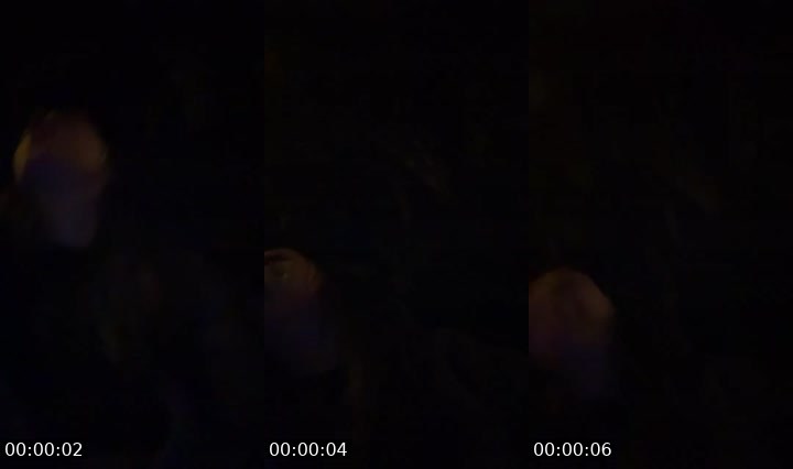 Contact-sheet preview of Dorina🎀's Liveme recording