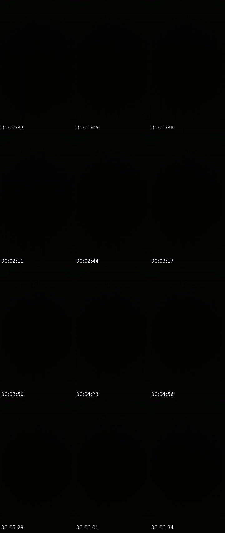 Contact-sheet preview of Lora_col's Liveme recording