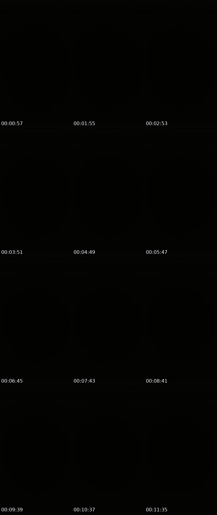 Contact-sheet preview of Lora_col's Liveme recording