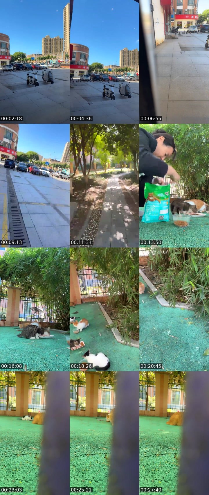 Contact-sheet preview of Linda梓宝's Liveme recording