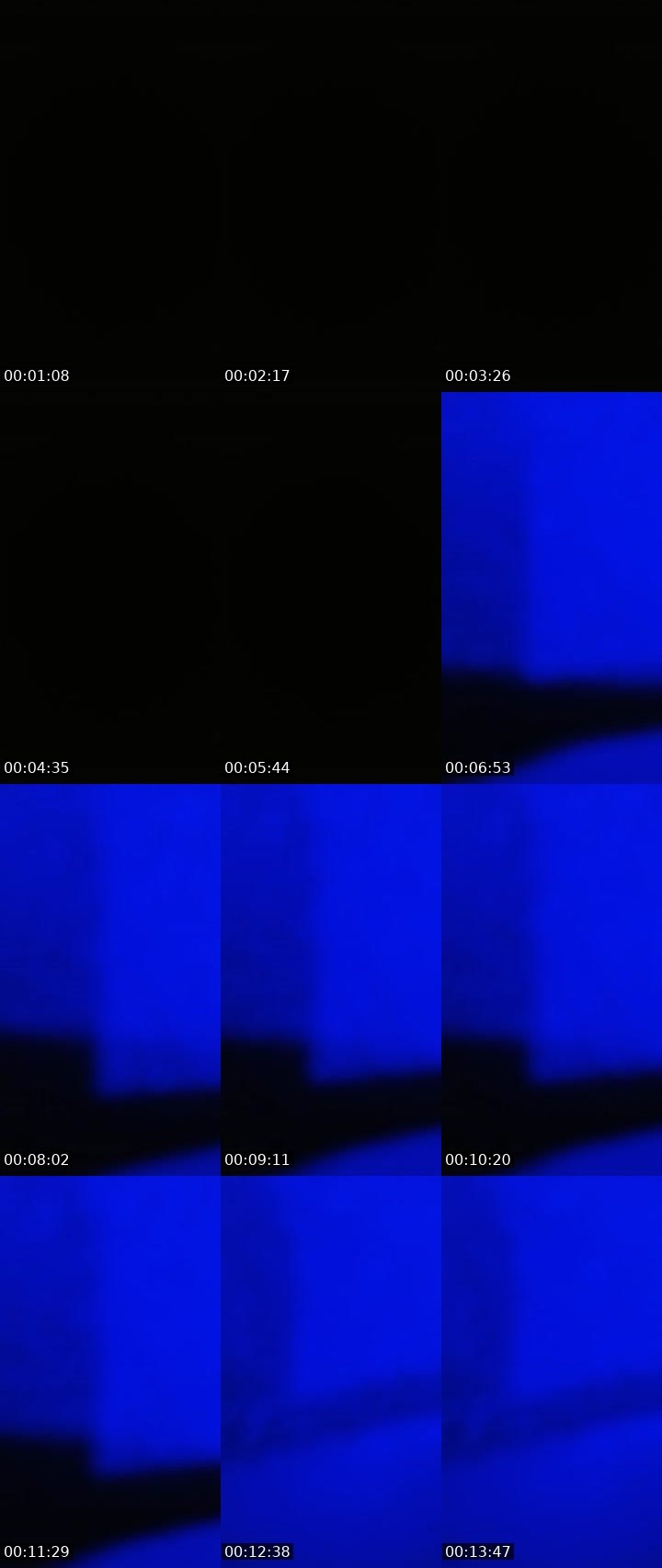 Contact-sheet preview of Lora_col's Liveme recording
