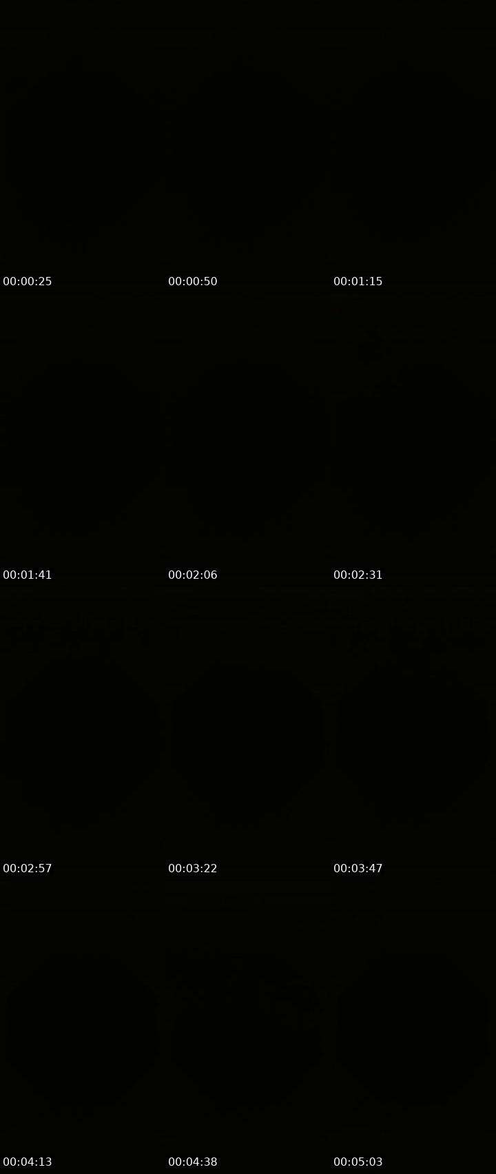Contact-sheet preview of Lora_col's Liveme recording