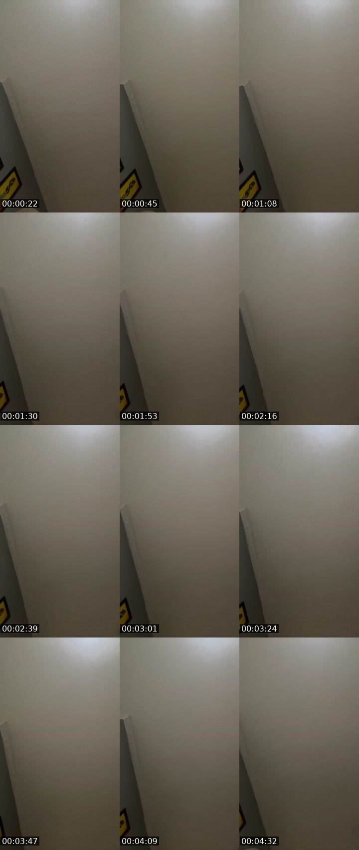 Contact-sheet preview of Annis🌸🪽's Liveme recording