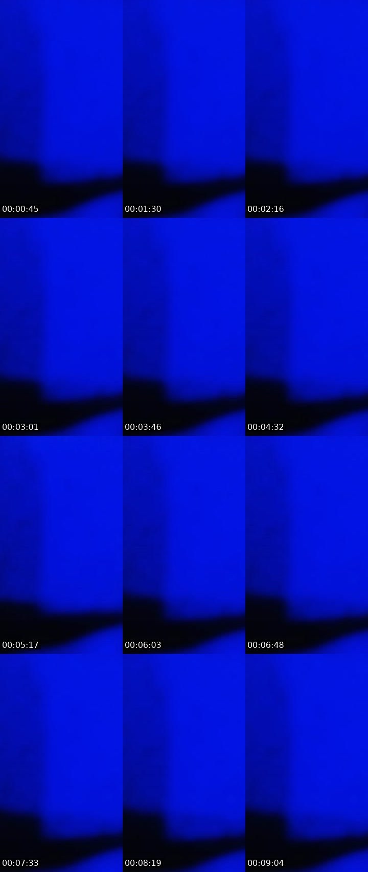 Contact-sheet preview of Lora_col's Liveme recording