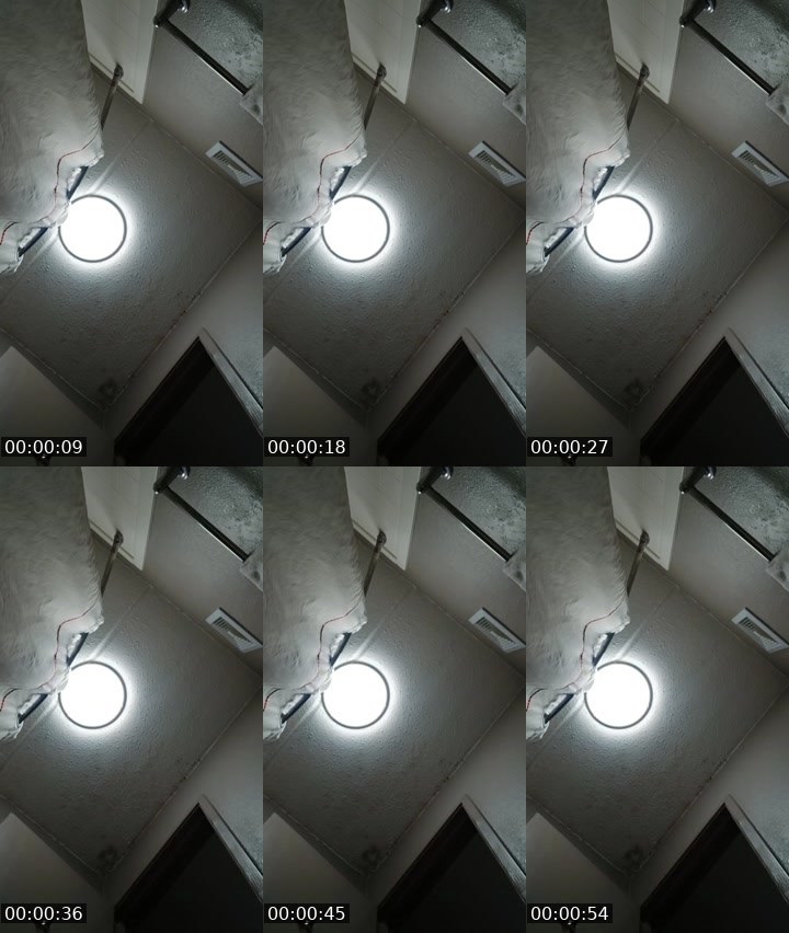 Contact-sheet preview of Dollbaby20138's Liveme recording