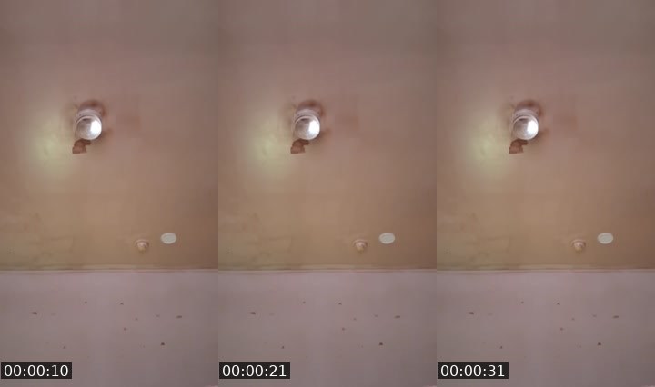 Contact-sheet preview of msshay688's Liveme recording