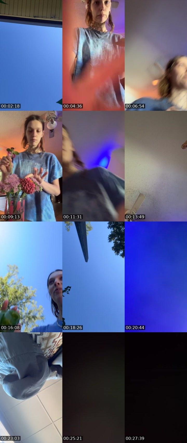 Contact-sheet preview of Willowsmama's Liveme recording