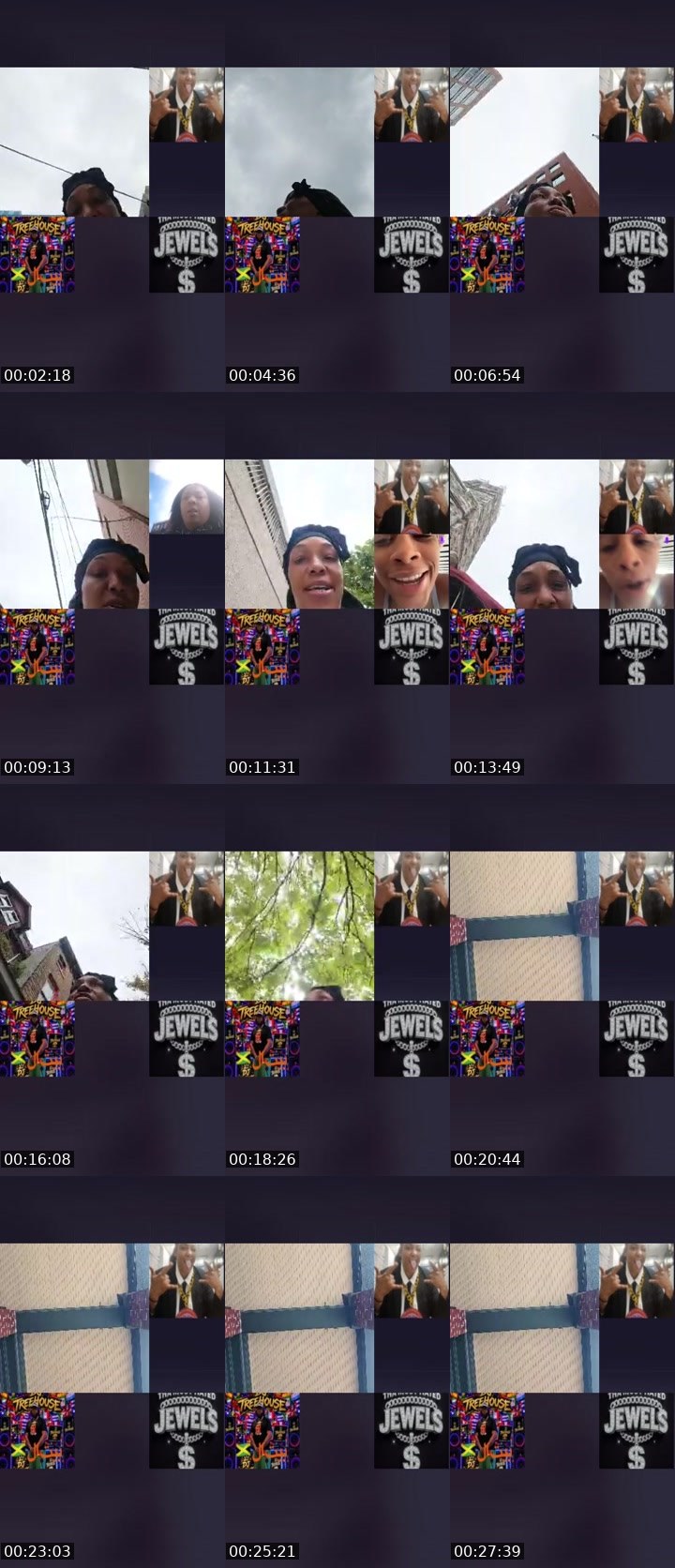 Contact-sheet preview of N™️🔛STORM‼️DH's Liveme recording