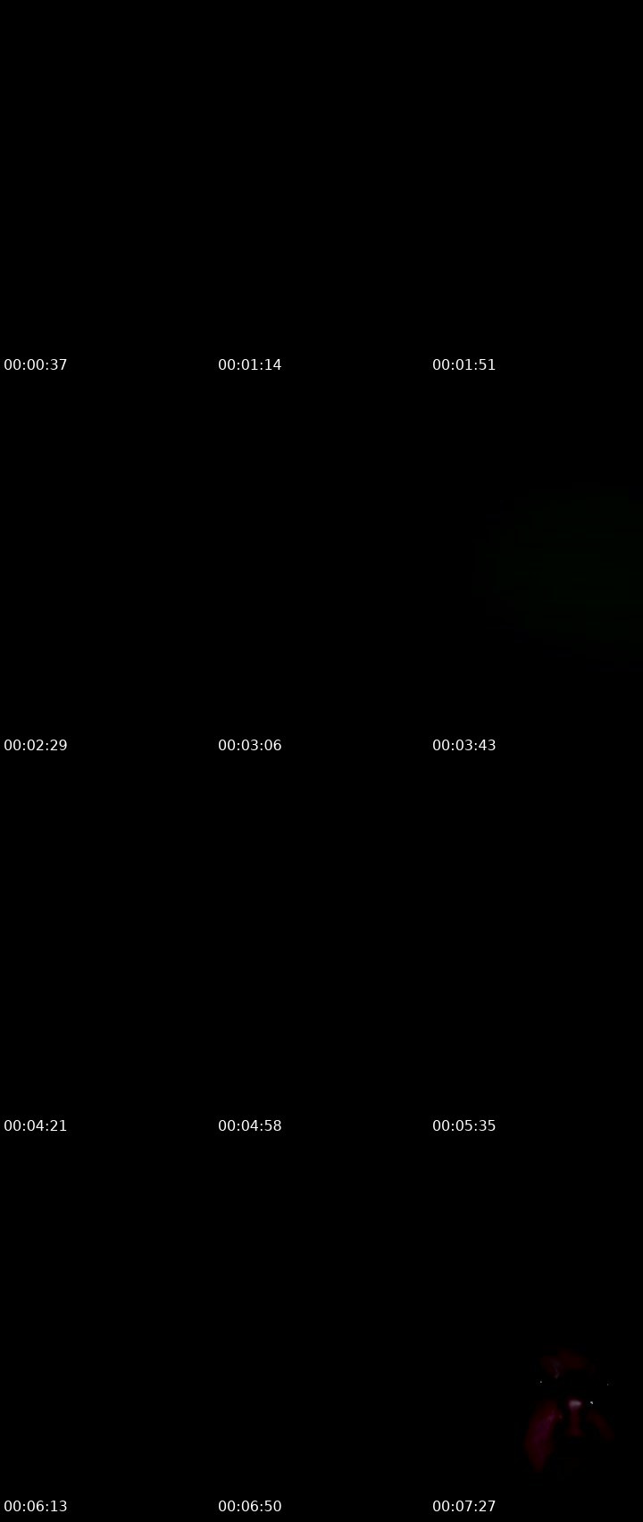 Contact-sheet preview of BETHANY💯's Liveme recording