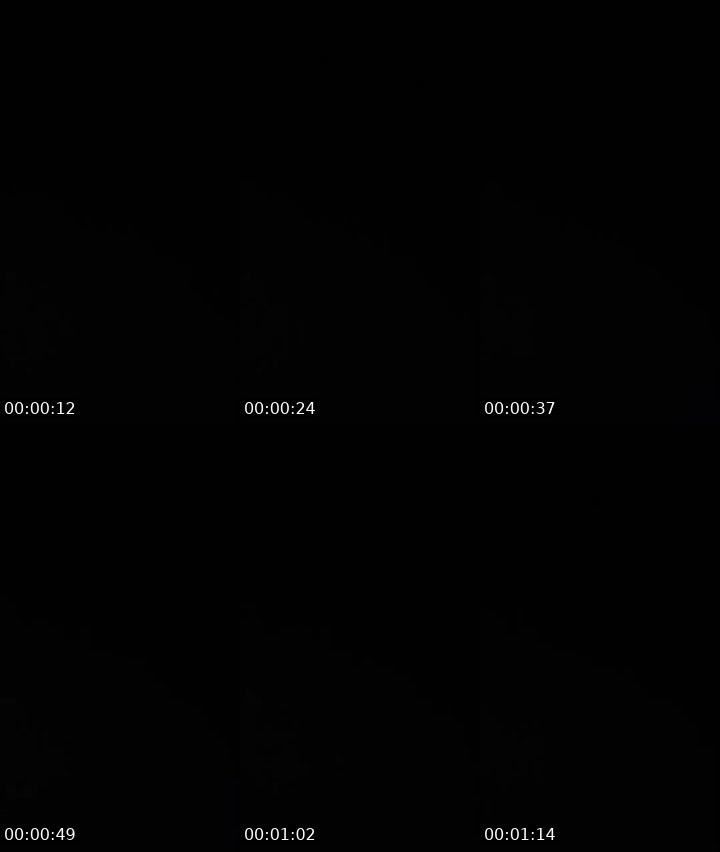 Contact-sheet preview of InsomniA.❤️‍🔥✨'s Liveme recording