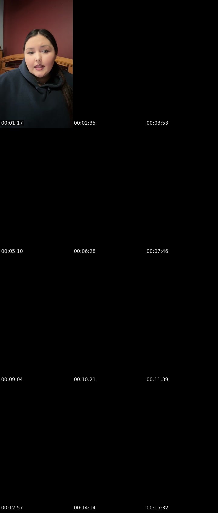 Contact-sheet preview of Fairy360's Liveme recording