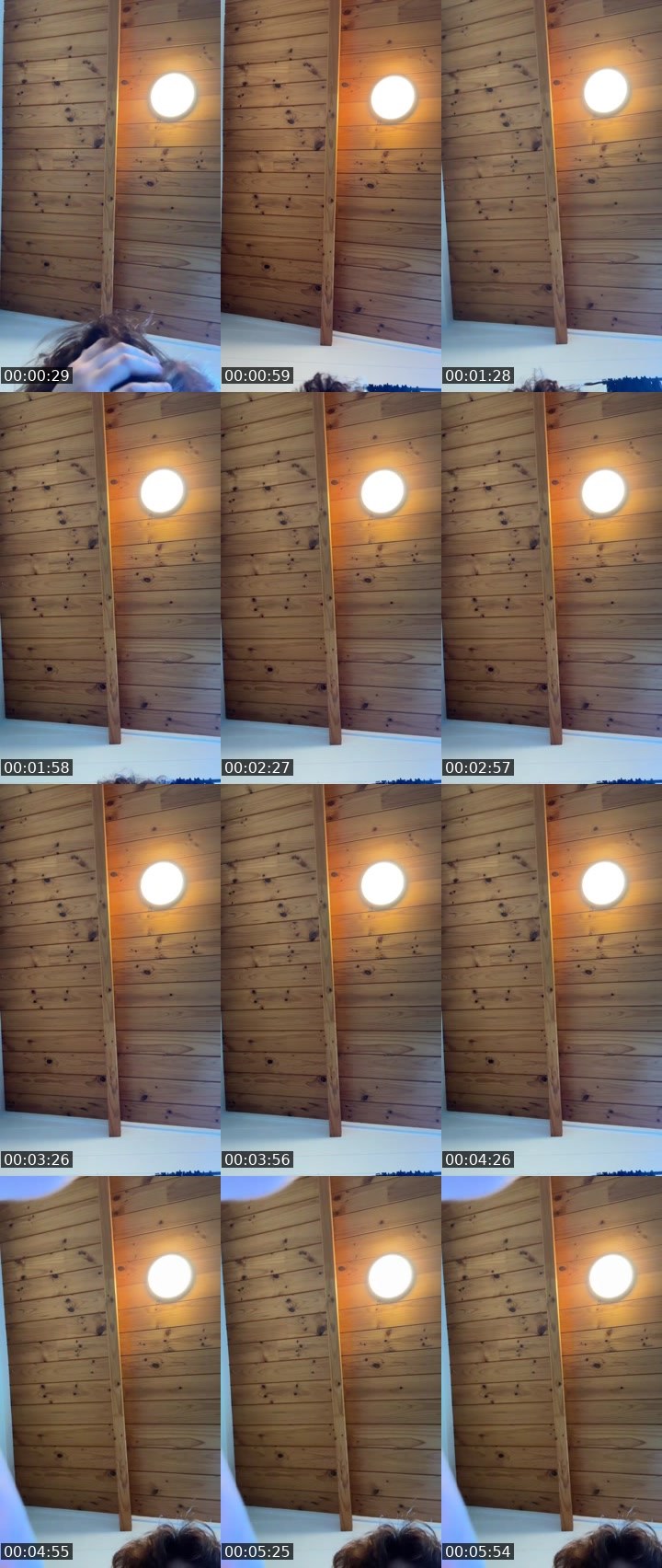 Contact-sheet preview of 🦇Yelena🦇's Liveme recording