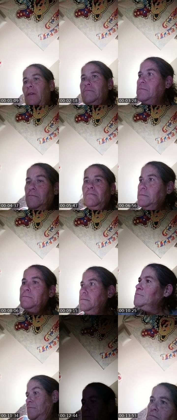 Contact-sheet preview of M Ripp's Liveme recording