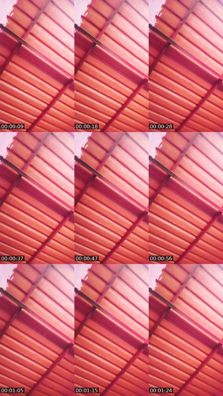 Contact-sheet preview of 🍭Candy☁️'s Liveme recording