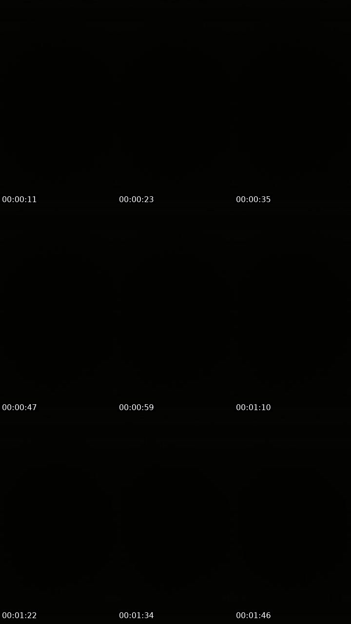 Contact-sheet preview of Lora_col's Liveme recording