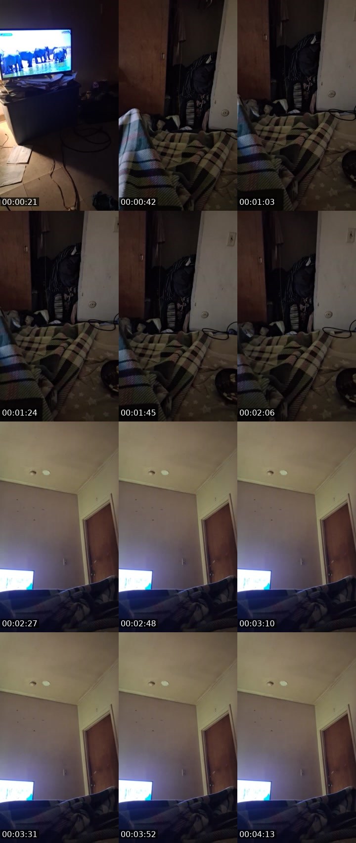 Contact-sheet preview of msshay688's Liveme recording