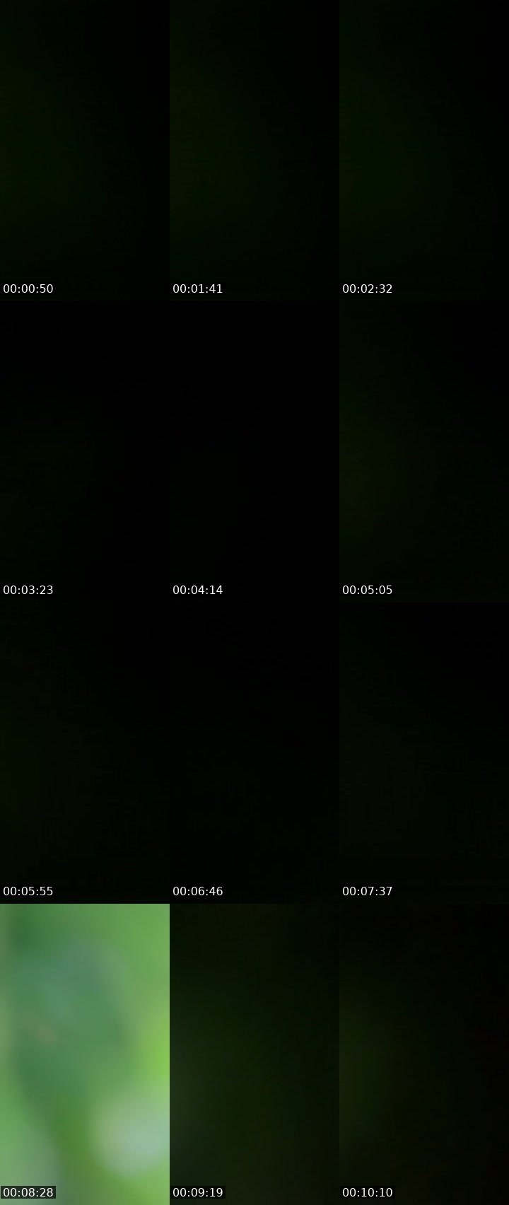 Contact-sheet preview of April Benson's Liveme recording