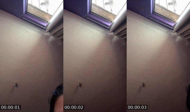 Contact-sheet preview of 🌸Dayene08's Liveme recording