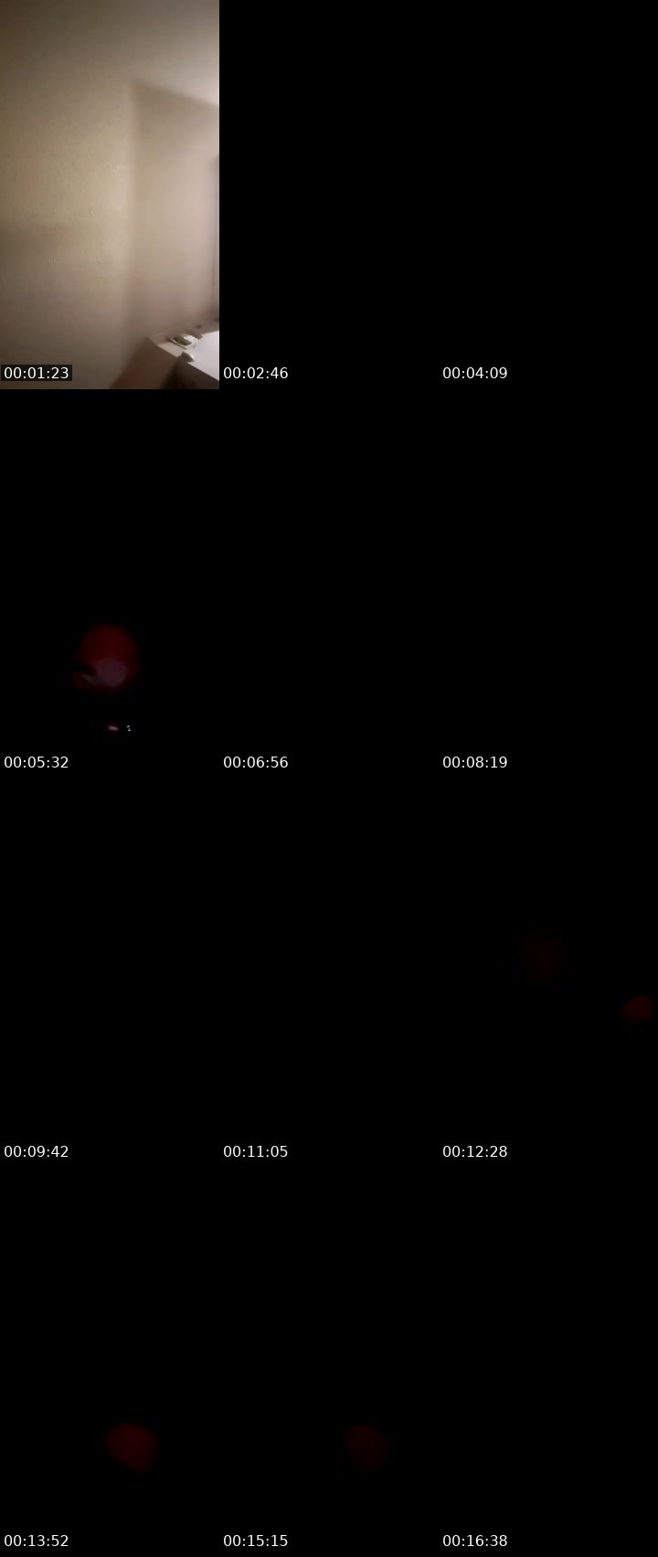Contact-sheet preview of BETHANY💯's Liveme recording