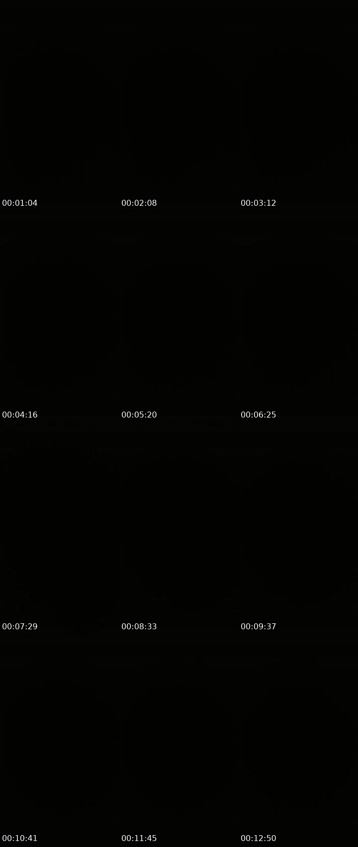 Contact-sheet preview of Lora_col's Liveme recording