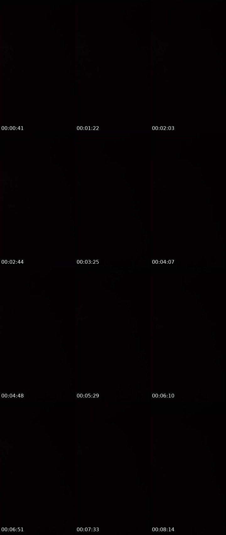 Contact-sheet preview of InsomniA.❤️‍🔥✨'s Liveme recording