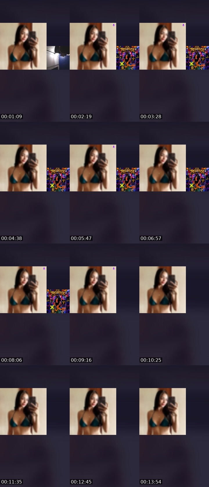 Contact-sheet preview of Comment🇵🇷's Liveme recording