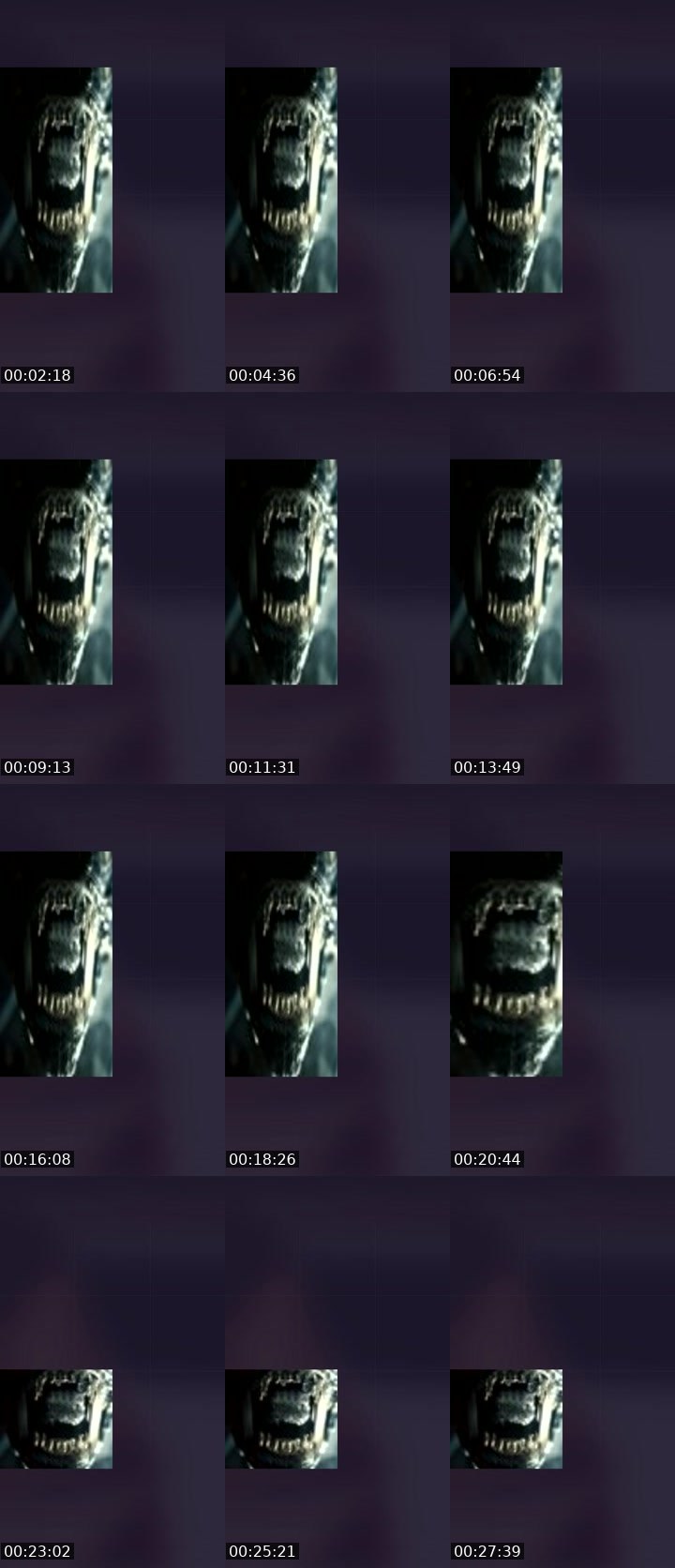 Contact-sheet preview of BETHANY💯's Liveme recording