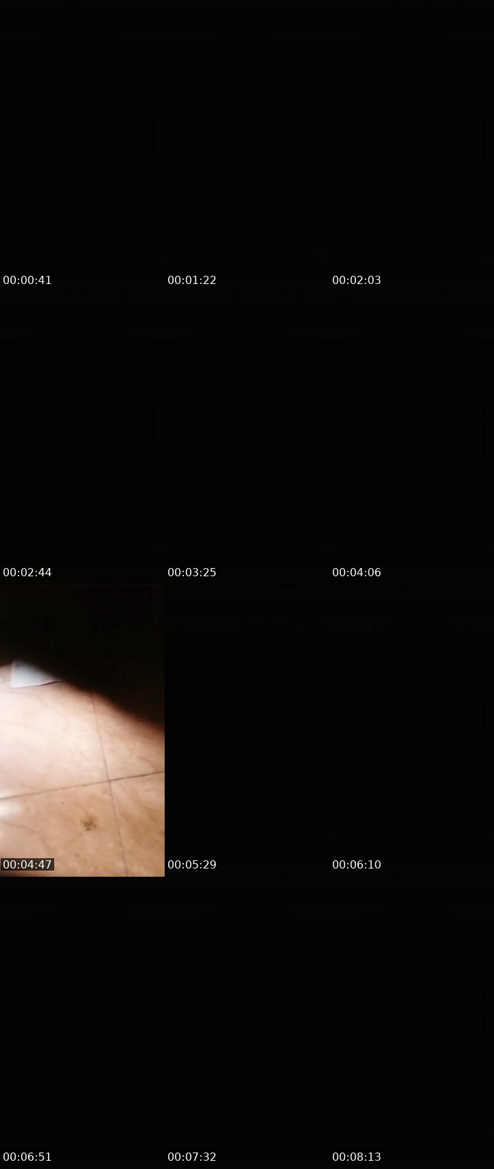 Contact-sheet preview of Lora_col's Liveme recording