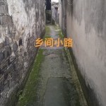 Cover for 點擊看看