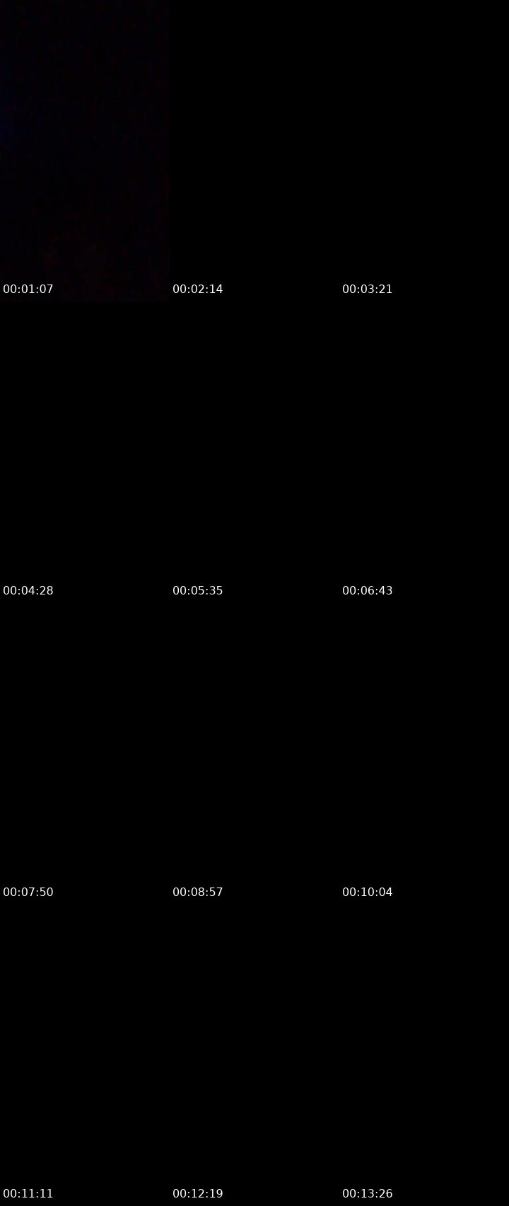 Contact-sheet preview of Mummy tee's Liveme recording